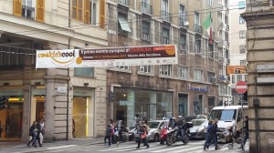 embodiment of a banner 680 gr blockout (bifacial)