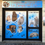 Questo è un esempio di vetrofania applicata estrenamente