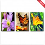 Questo è un esempio di come potrebbe essere la tua opera d'arte!